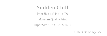 Sudden Chill Print